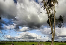 九游娱乐官网：中国队夺得亚冬会花样滑冰冰上舞蹈银牌央视体育.